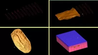Master GEOVIA Surpac: 3D Mining Modeling Pro Course  


