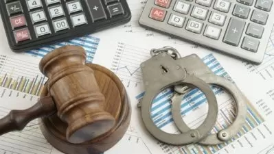 Master Accounting Fraud Detection - 2024 Pro Guide  

