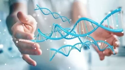Master Quantum Case Management for Therapy Pros 2024  

