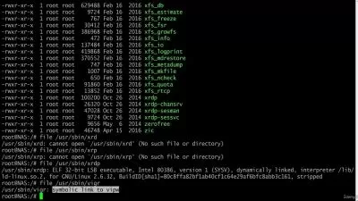 Master Linux Basics: Ultimate 2024 Beginner's Guide  

