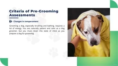 Ultimate Dog Grooming & First Aid Certification 2024  

