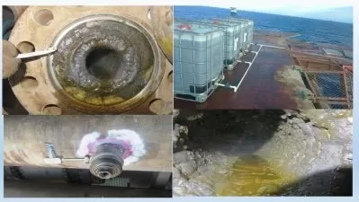 Petroleum Chemicals Pro: Master Production Treatments 2024  

